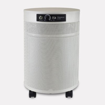 Airpura P700 Air Purifier